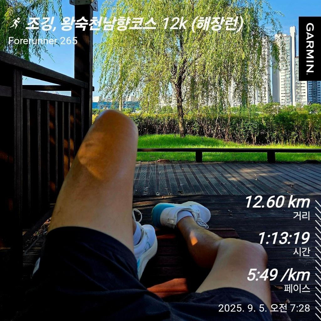 9월 5일, 오전 러닝을 위해서는 절제가 필요하다. (조깅 12k)